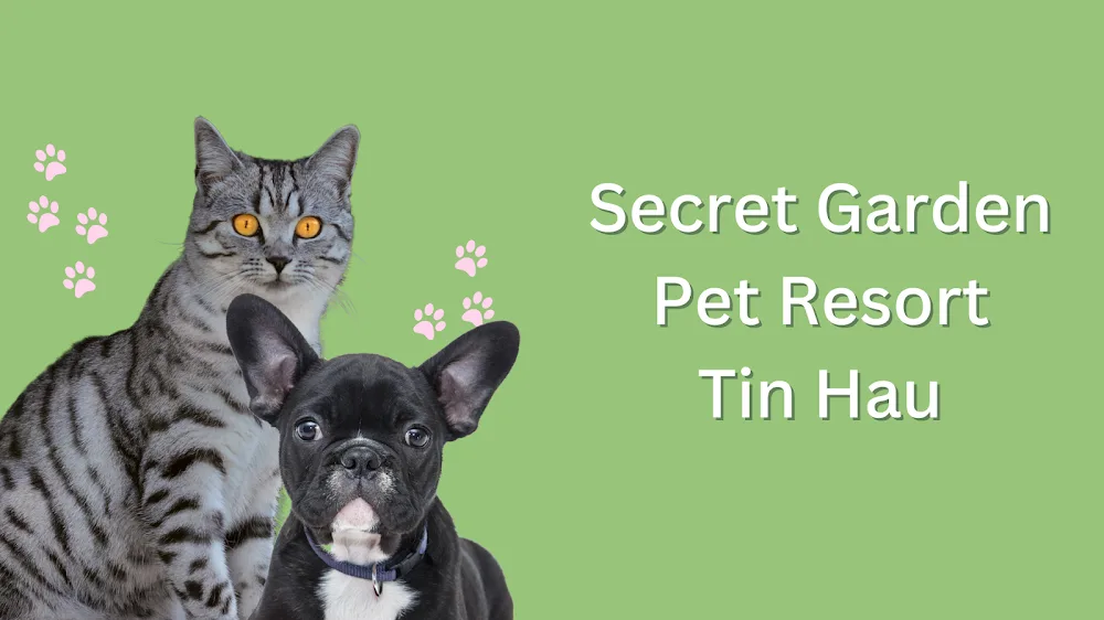 Secret Garden Pets Resort by the Banyan Vet Group - Hong Kong SAR pet otel
