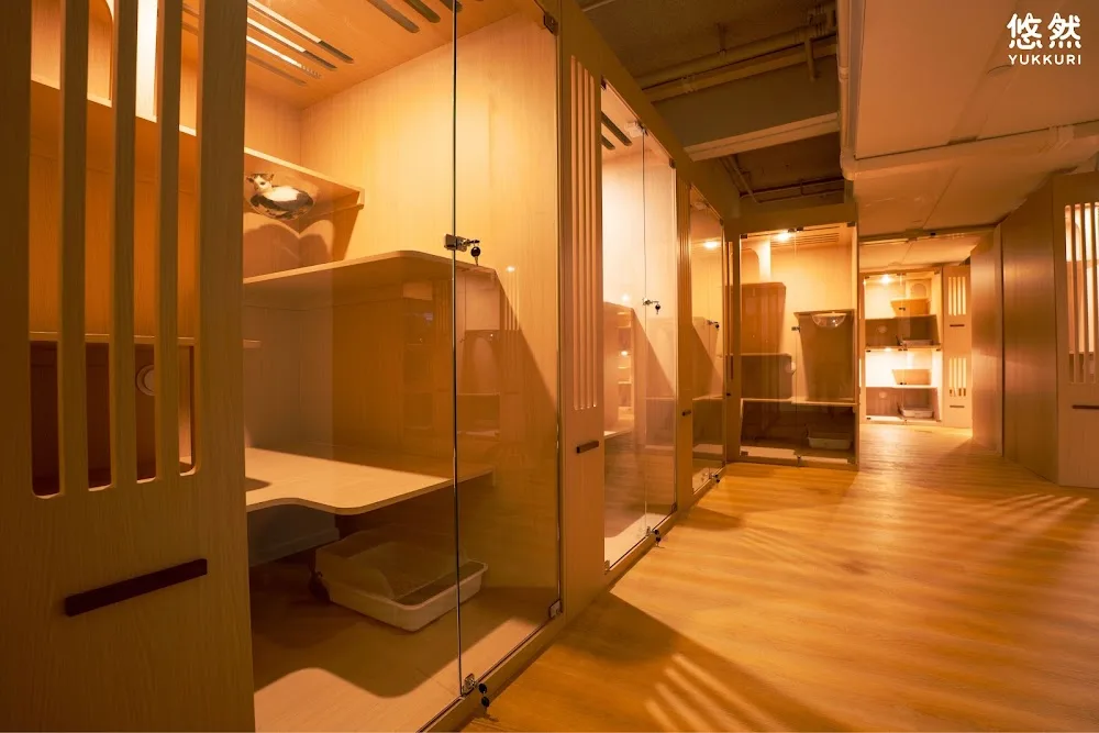 悠然貓酒店 Yukkuri Cat Hotel - Hong Kong SAR pet otel