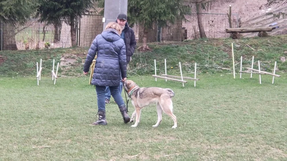 Hundeschule u. - Pension Klingler W. - Horb am Neckar pet otel