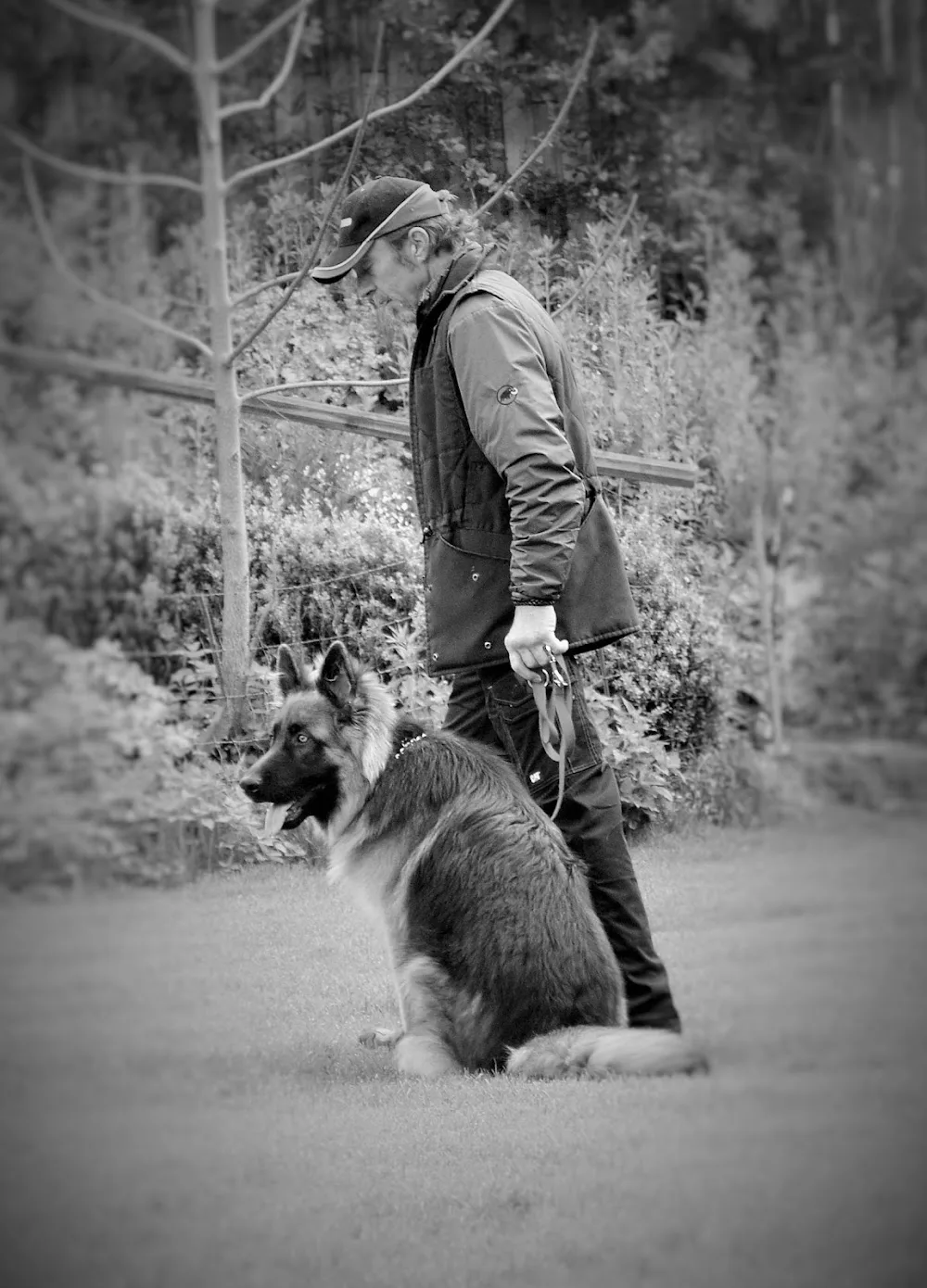 Hundeschule u. - Pension Klingler W. - Horb am Neckar pet otel görseli 3