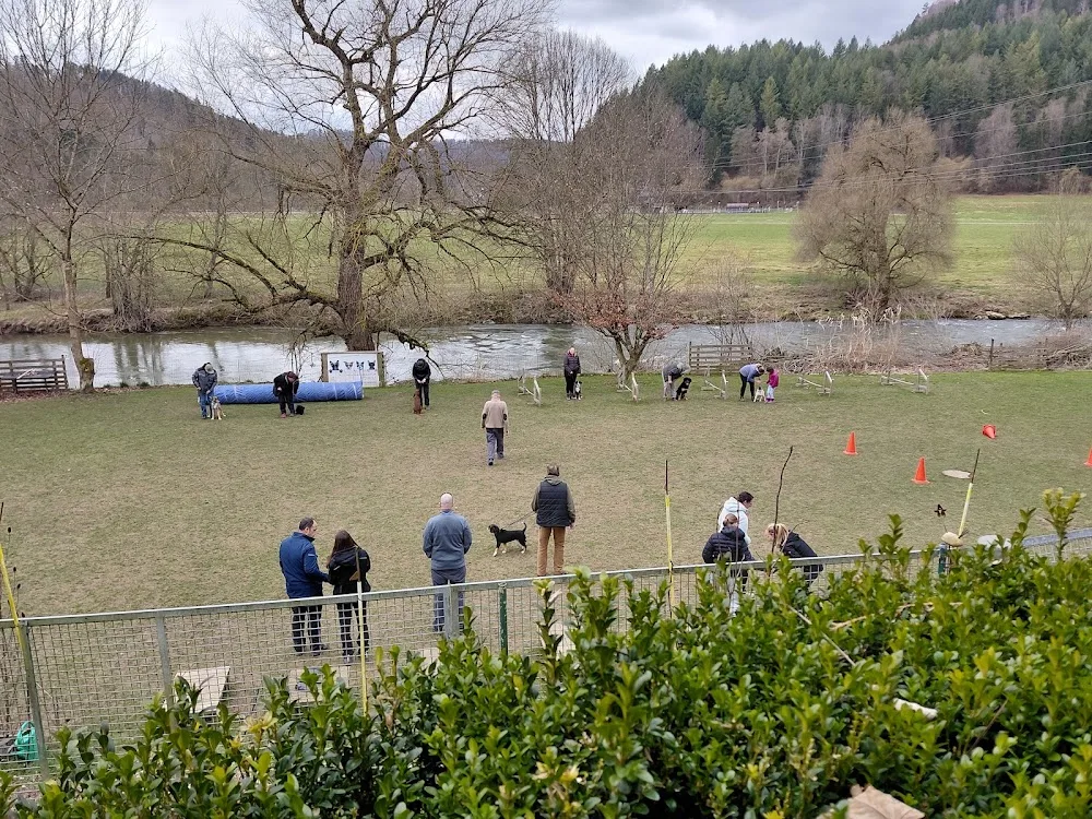 Waldemar Klingler Hundeschule&Pension - Horb am Neckar pet otel