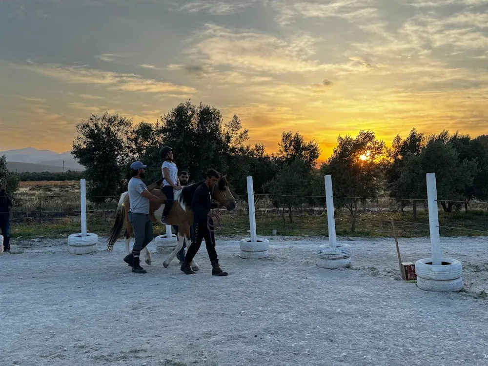 Horse & Dog Academy - Mersin Silifke At Çiftliği, Köpek Oteli ve Kahvaltı - Mersin pet otel görseli 2