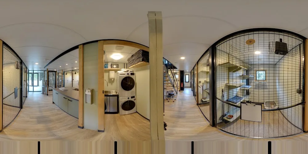 Het Poezenhotel - Houten pet otel görseli 3