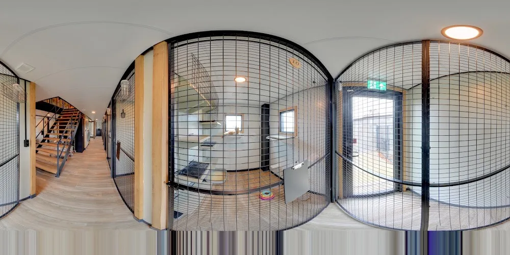 Het Poezenhotel - Houten pet otel görseli 4
