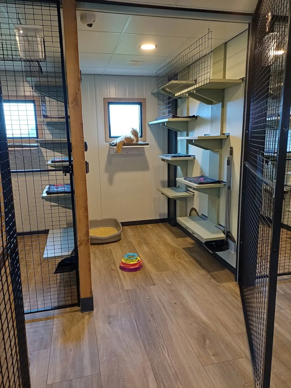 Het Poezenhotel - Houten pet otel görseli 5
