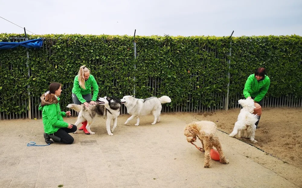 Hondencreche en dierenpension A2 Culemborg - Houten pet otel
