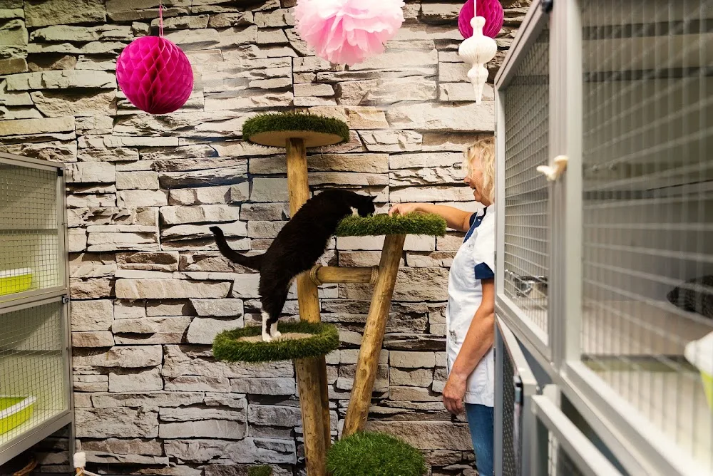 Kattenhotel Culemborg - Houten pet otel