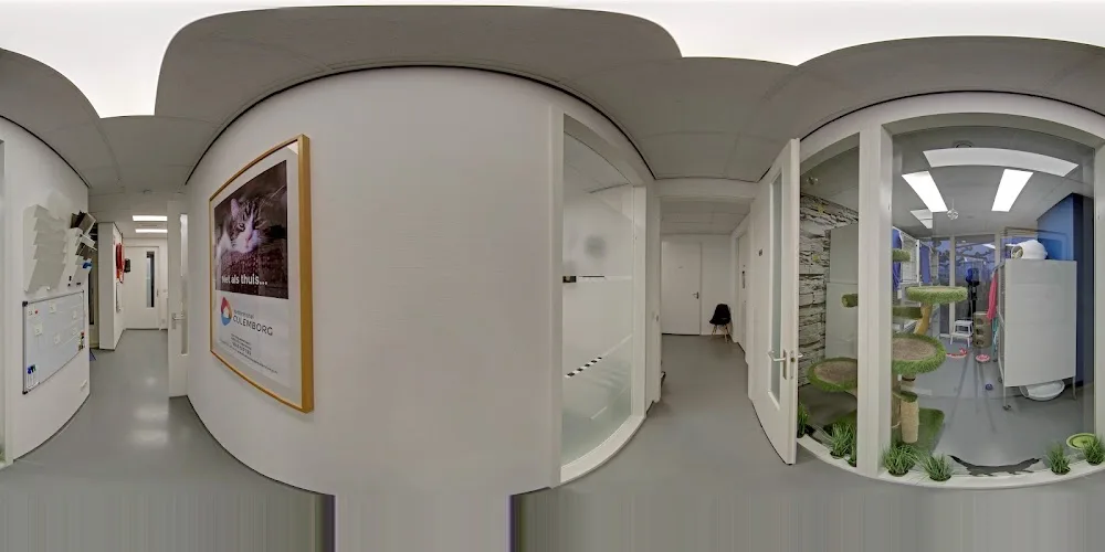 Kattenhotel Culemborg - Houten pet otel görseli 3