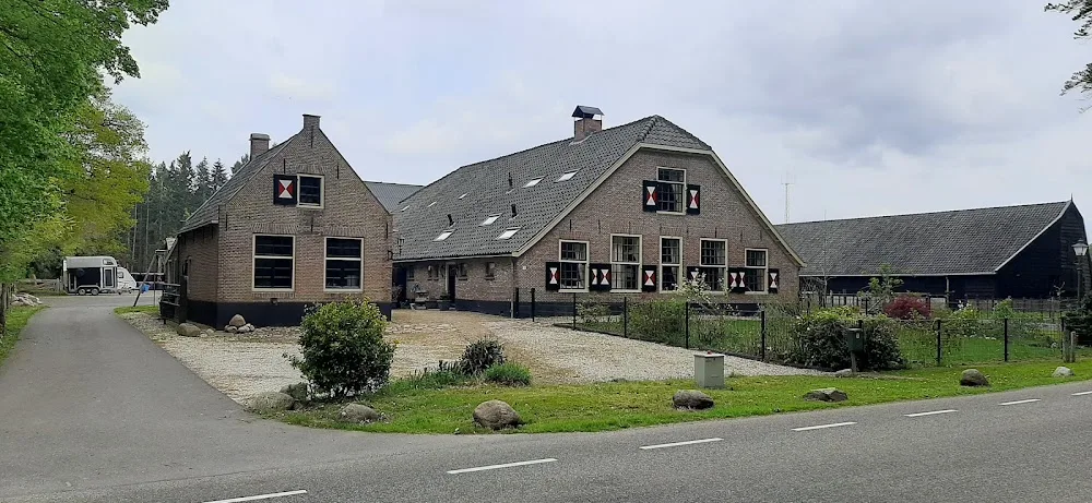 Kattenhotel De Vuursche - Houten pet otel