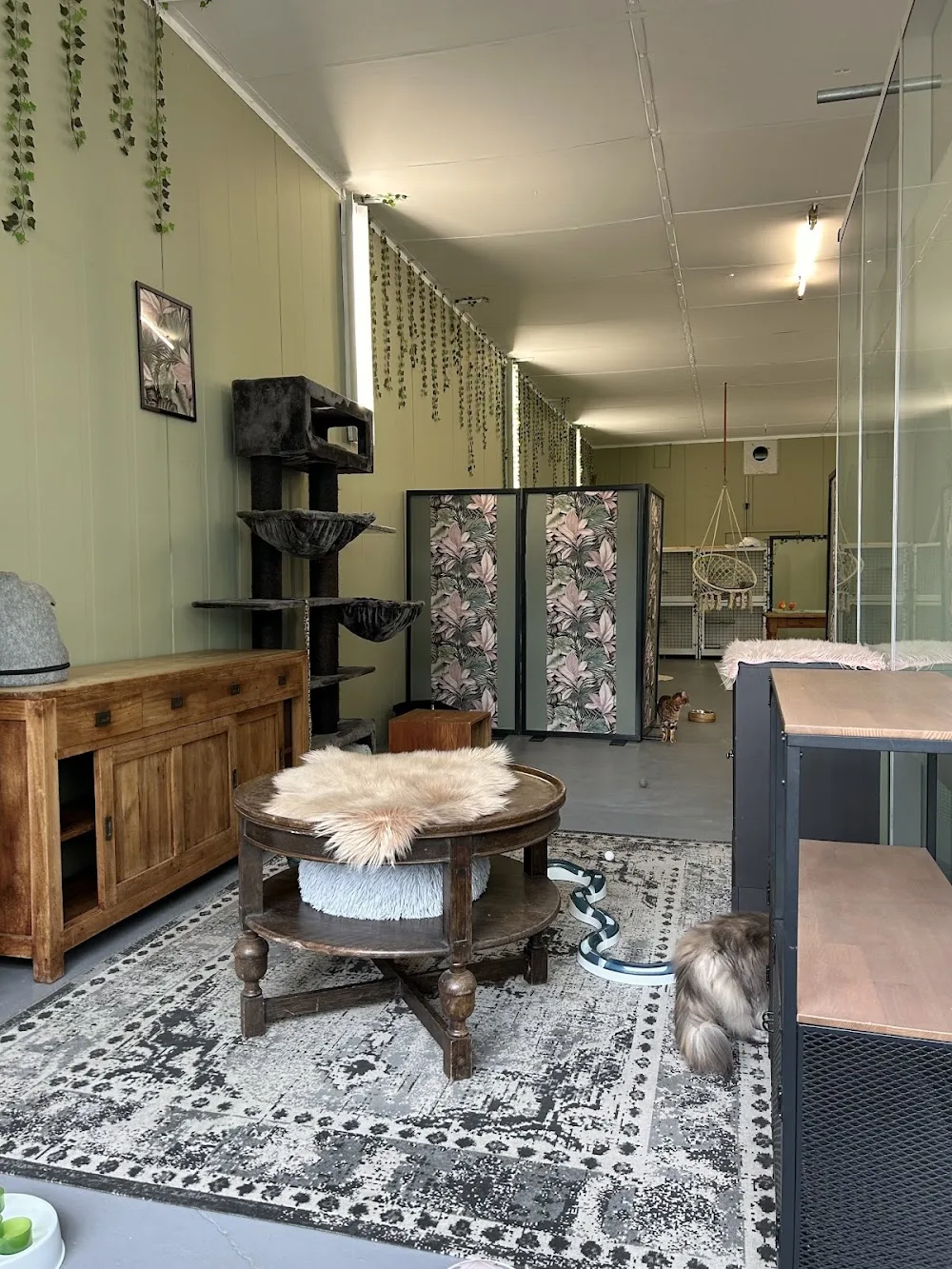 Kattenhotel Leerbroek - Houten pet otel