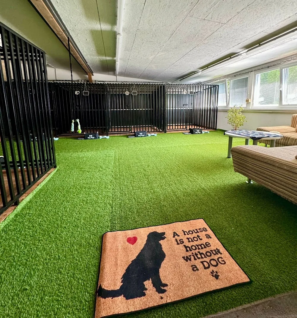 DogDream - Psí hotel - Hradec Králové pet otel