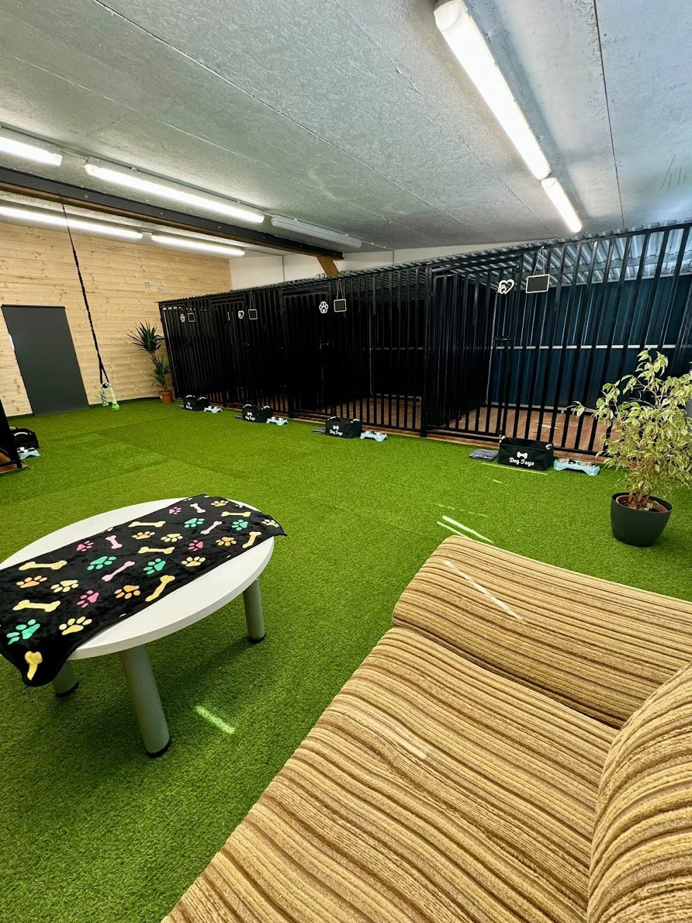 DogDream - Psí hotel - Hradec Králové pet otel görseli 3
