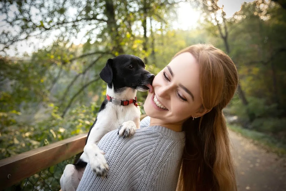 Dogmom - Hlídání a výcvik psů - Hradec Králové pet otel