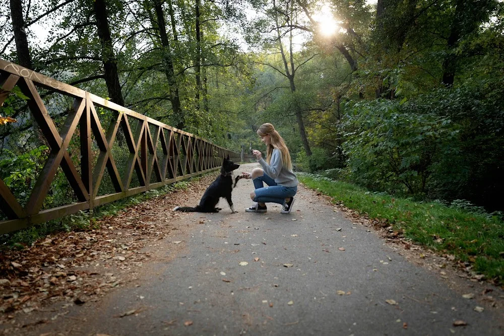 Dogmom - Hlídání a výcvik psů - Hradec Králové pet otel görseli 3