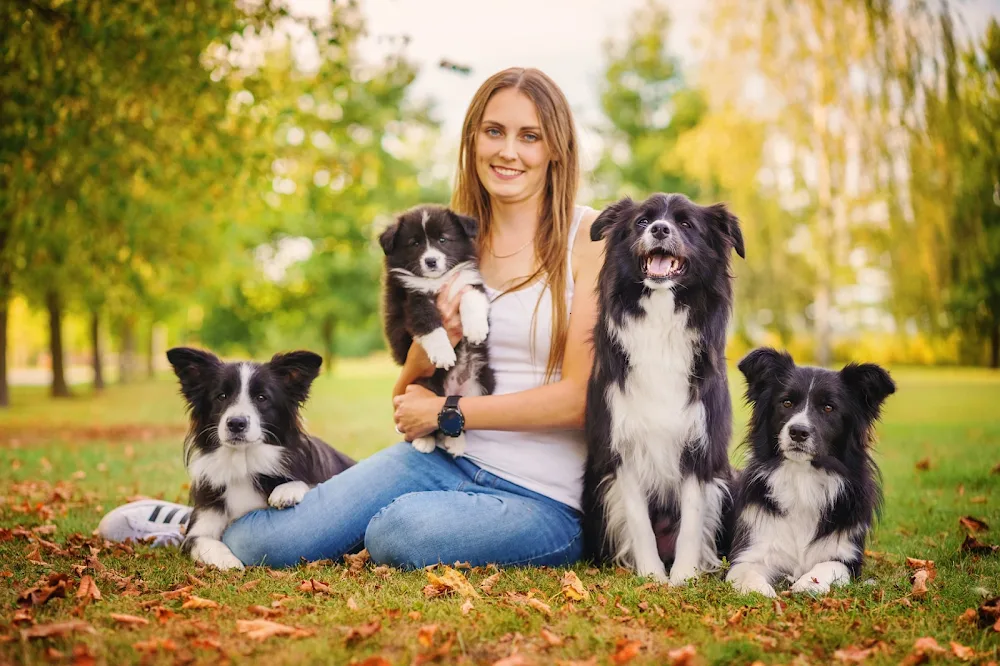Hotel pro psy 4Paws - Hradec Králové pet otel