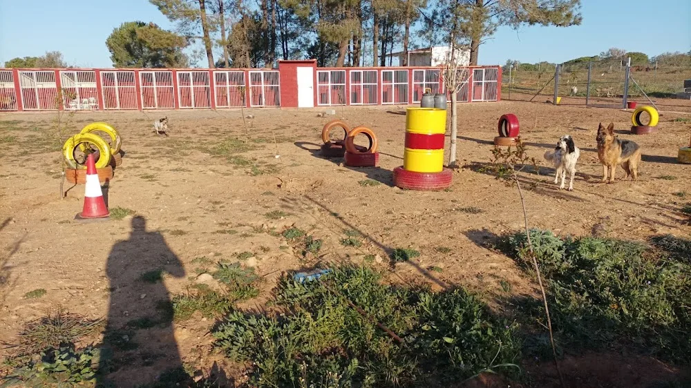 Residencia y Adiestramiento Canino Marchena - Huelva pet otel