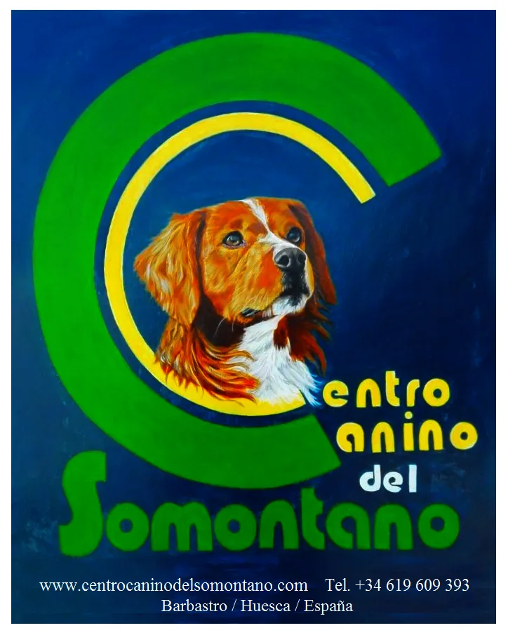 Centro Canino del Somontano - Huesca pet otel