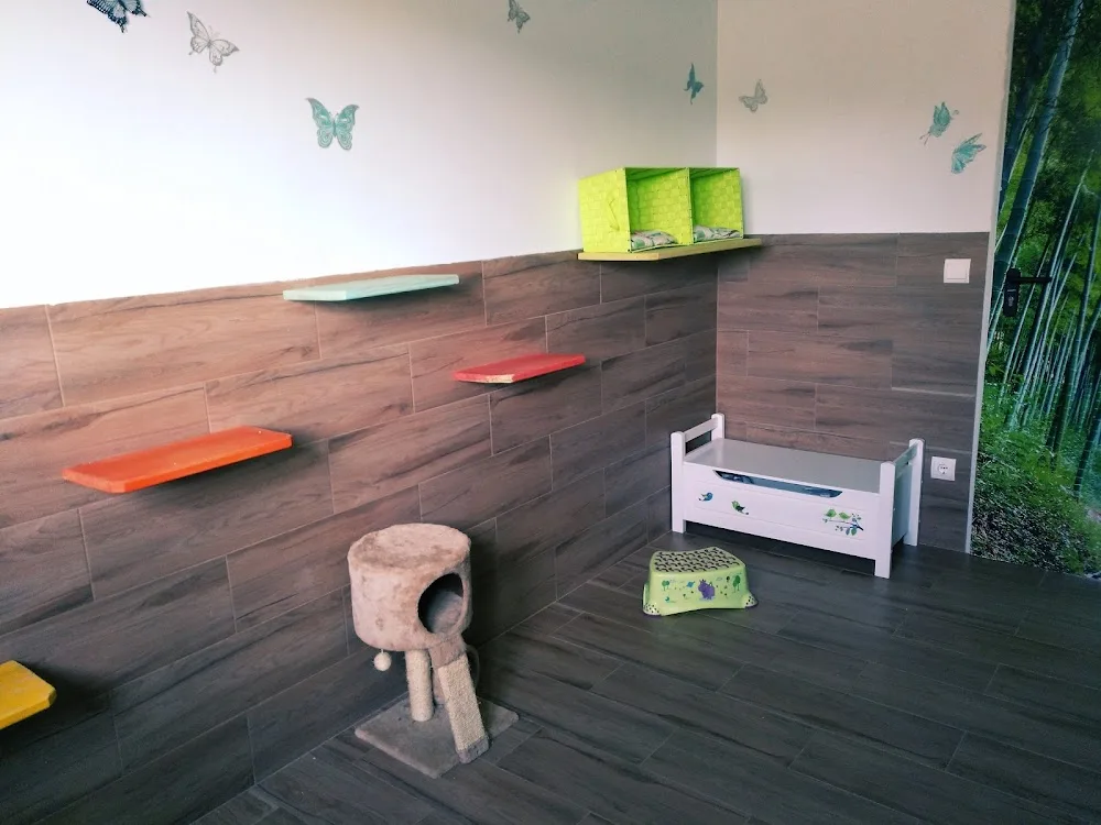 Mas Huellas - Huesca pet otel görseli 3