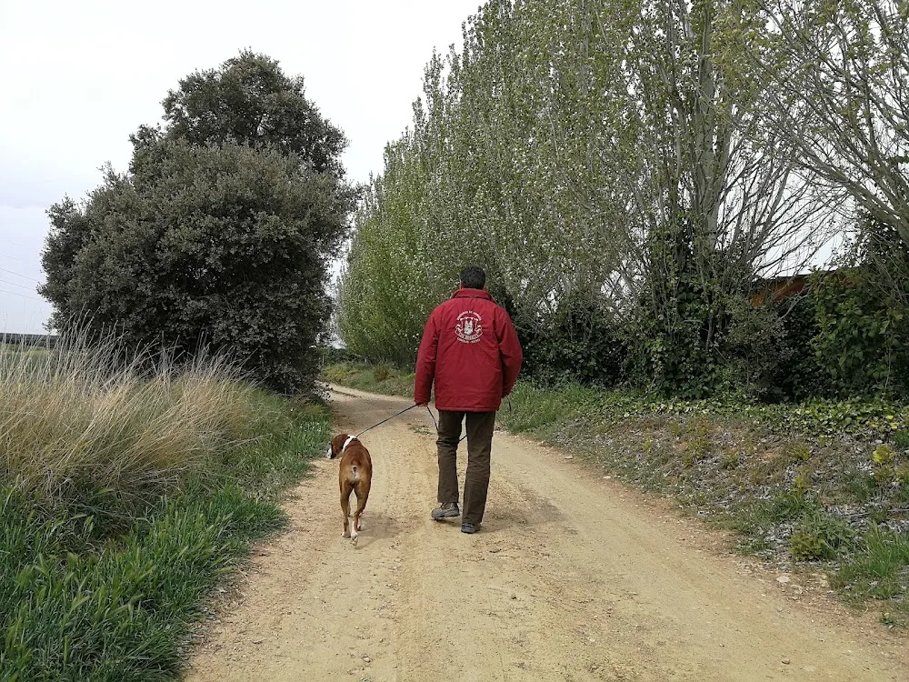Residencia de animales Los Rosales - Huesca pet otel