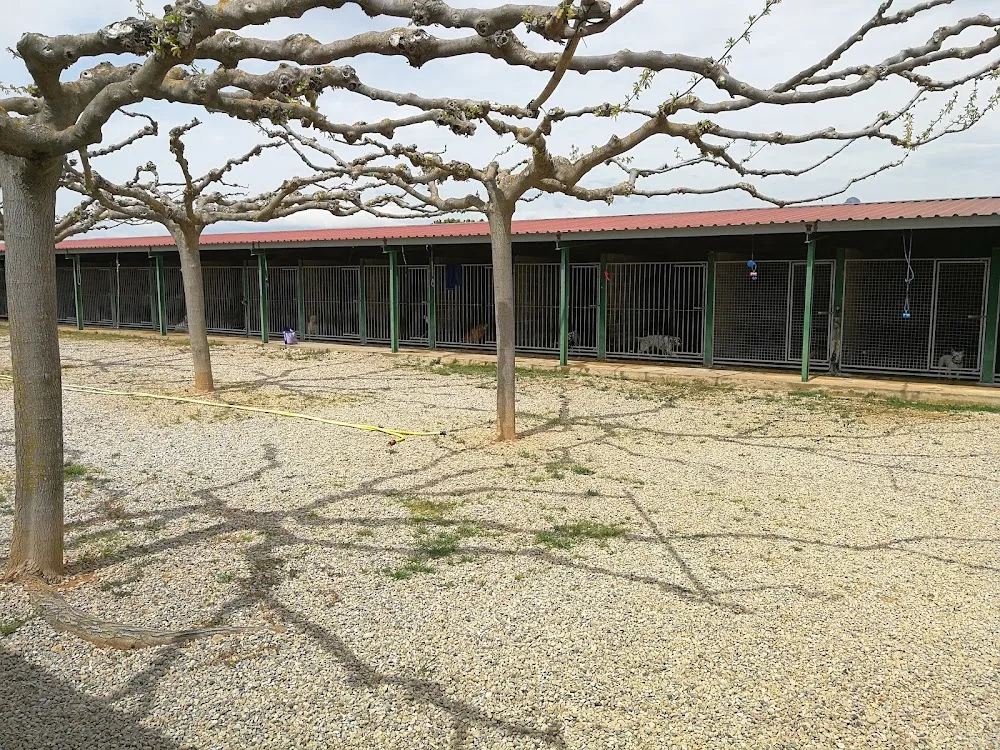 Residencia de animales Los Rosales - Huesca pet otel görseli 3