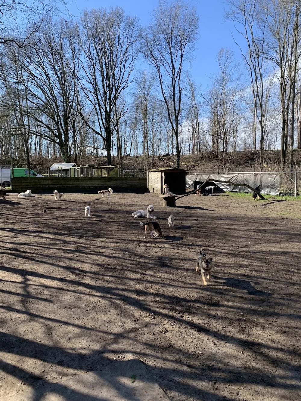 Doggy Set GO - Hulten pet otel görseli 3