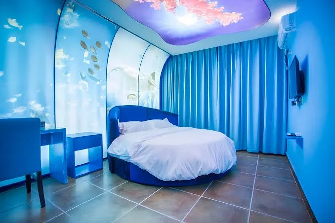 zhangjiajie cat theme inn - Hunan pet otel görseli 3