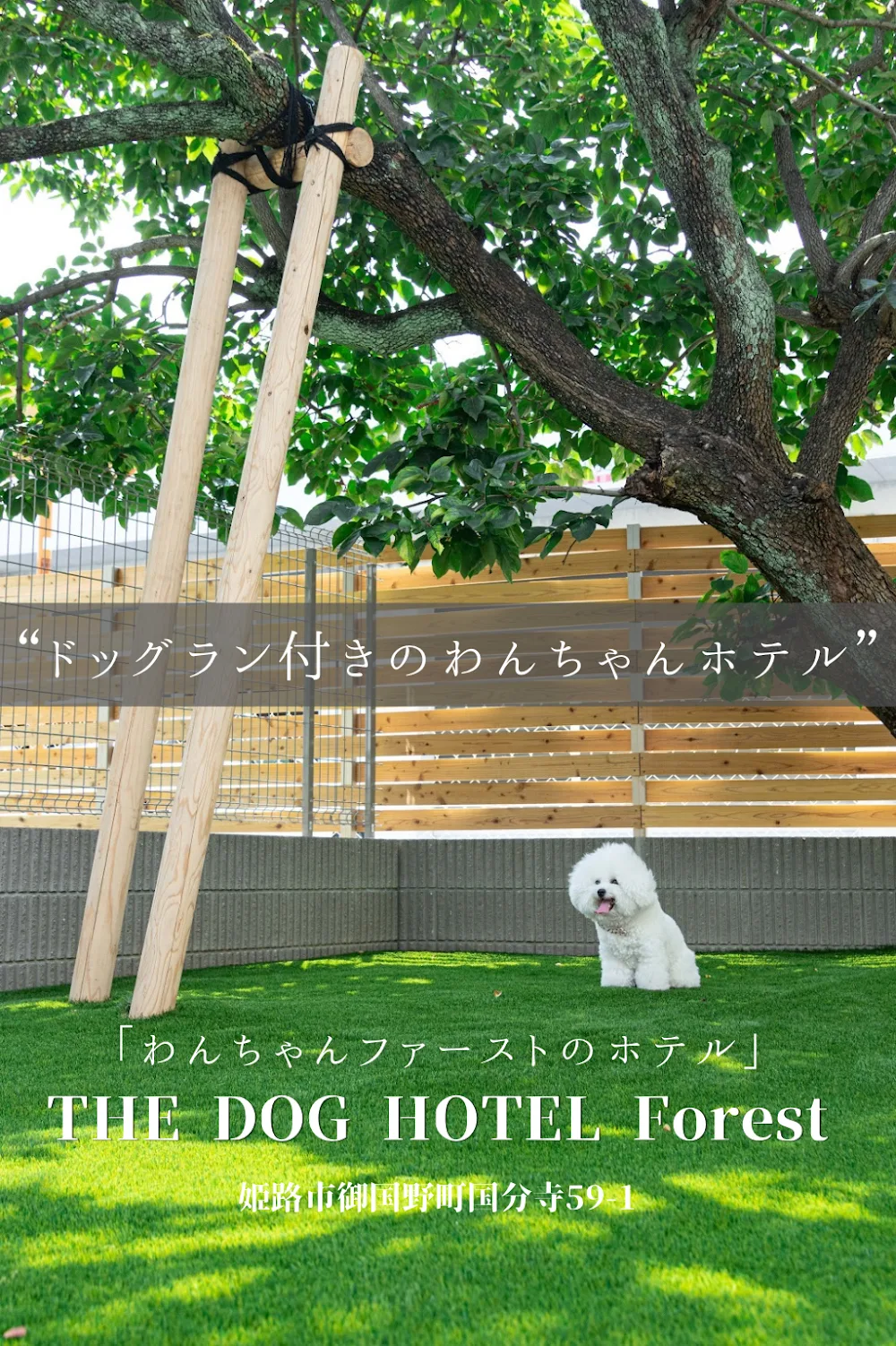 ペットホテルTHE DOG HOTEL Forest - Hyōgo pet otel görseli 3
