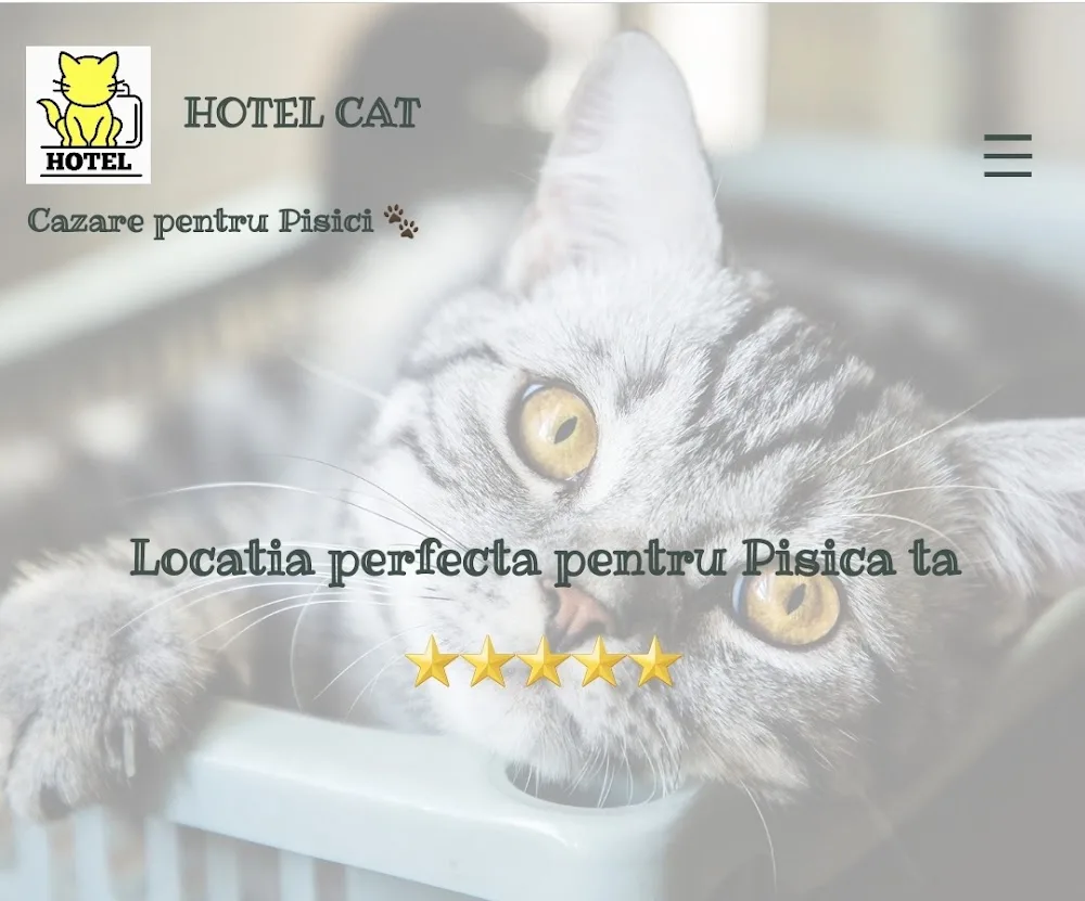 HotelCat - Iași pet otel
