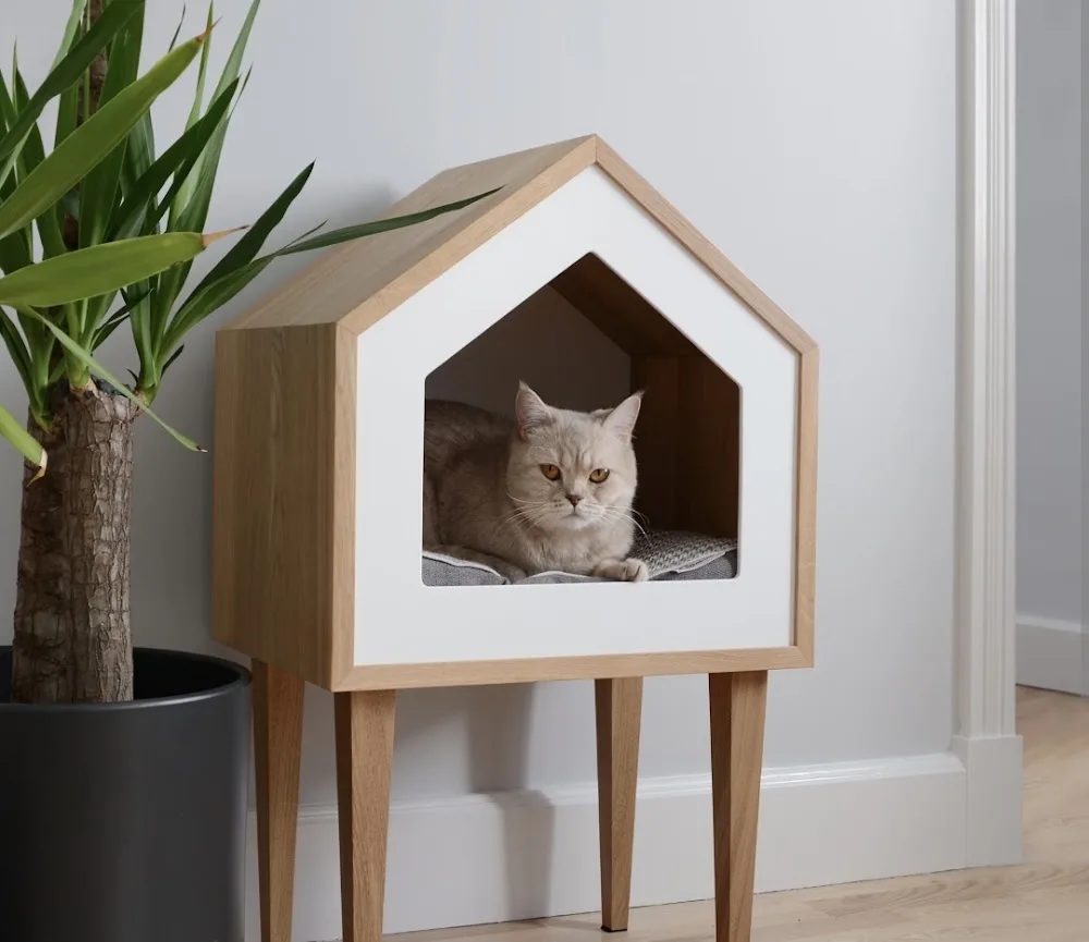 HotelCat - Iași pet otel görseli 3