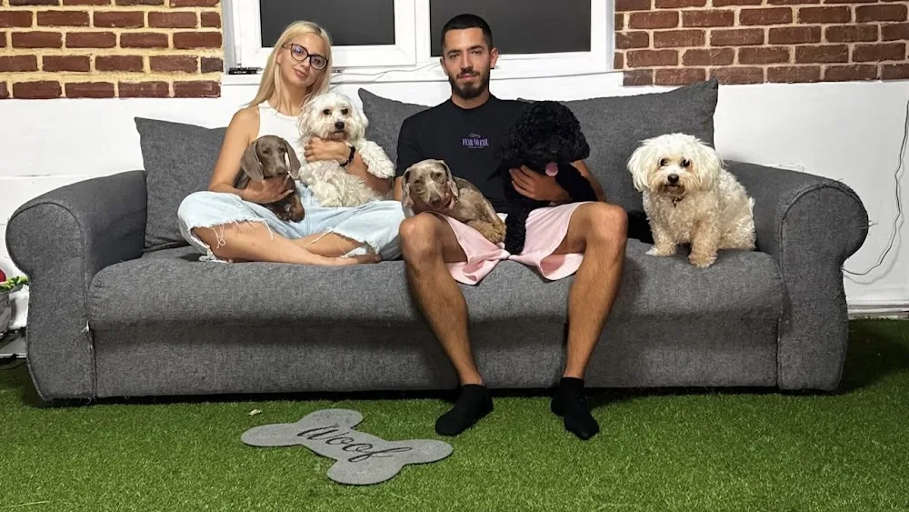 Pet Care Iași - Pensiune de animăluțe și Pet Sitter Iaşi - Iași pet otel görseli 6