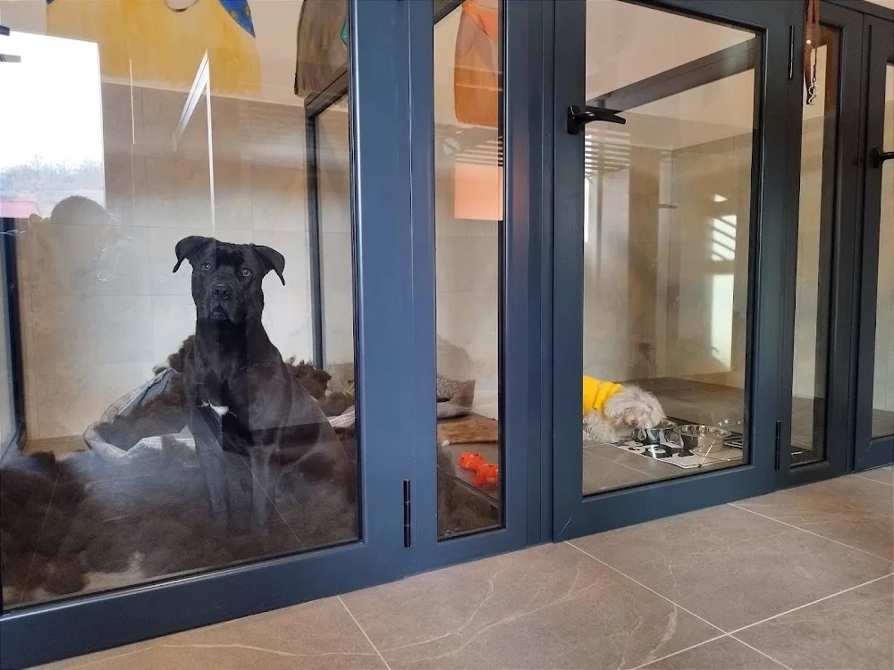 Pet Hotel Dino - Iași pet otel görseli 6