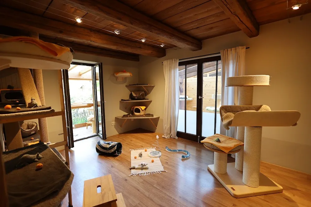 Katzenpension Silvia Federer - Ihringen pet otel