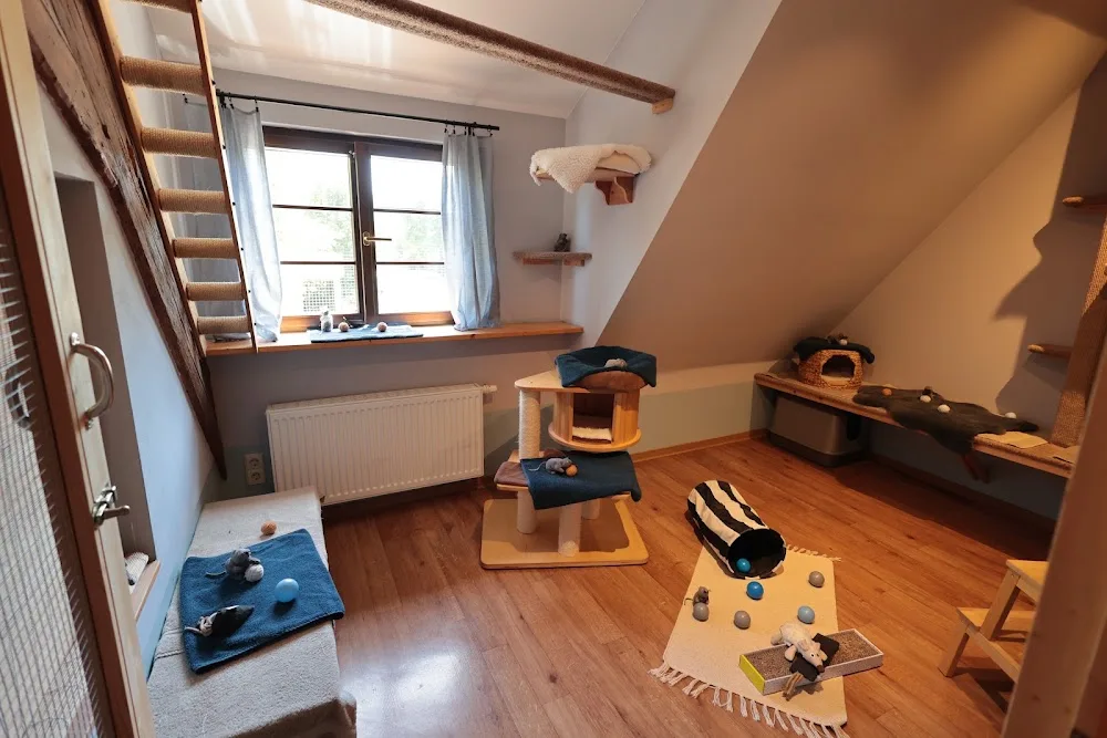 Katzenpension Silvia Federer - Ihringen pet otel görseli 3