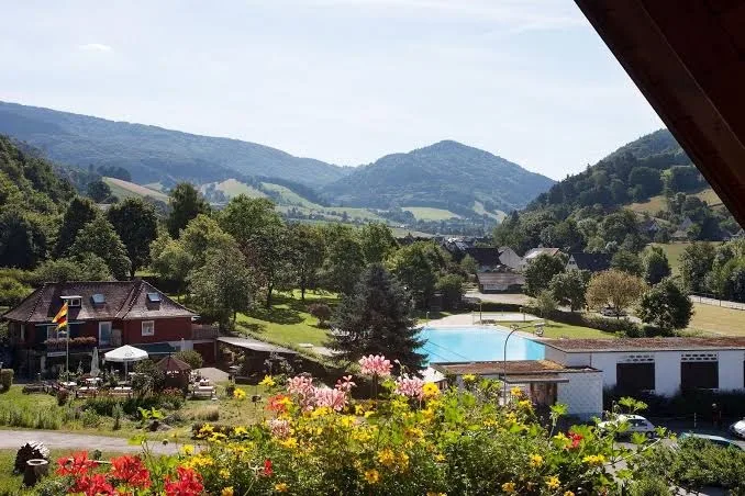 Pension Roseneck Carola Gschwander - Ihringen pet otel