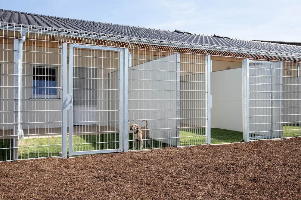 Toms' Hundehotel - Ihringen pet otel