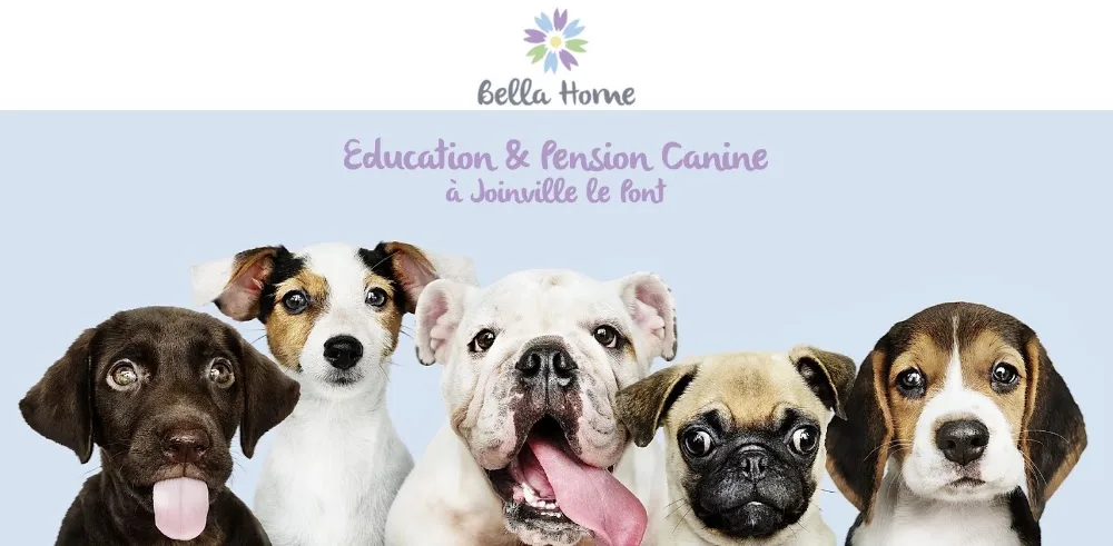 Bella Home - Île-de-France pet otel görseli 6