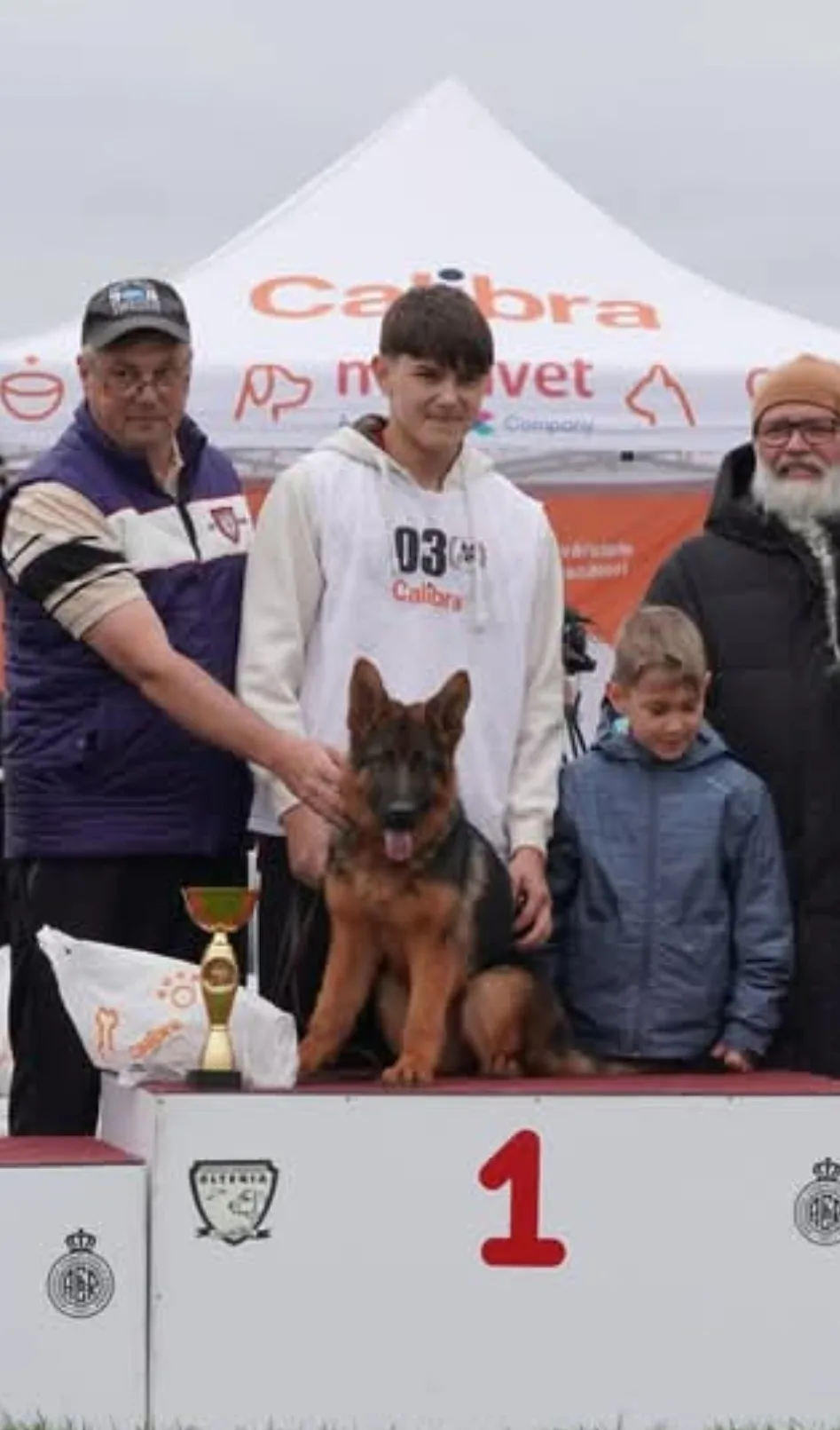 Canisa Vom Haus Emy - Ilfov pet otel