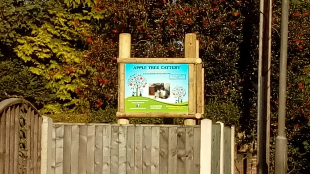 Apple Tree Cattery (Trowell) - Ilkeston pet otel