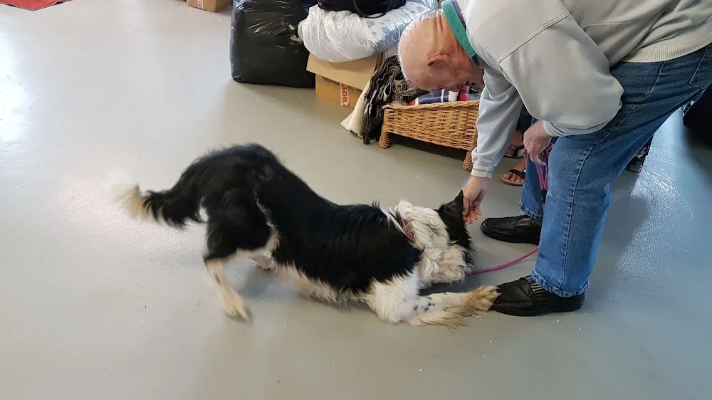 Castlefield Kennels - Ilkeston pet otel görseli 3