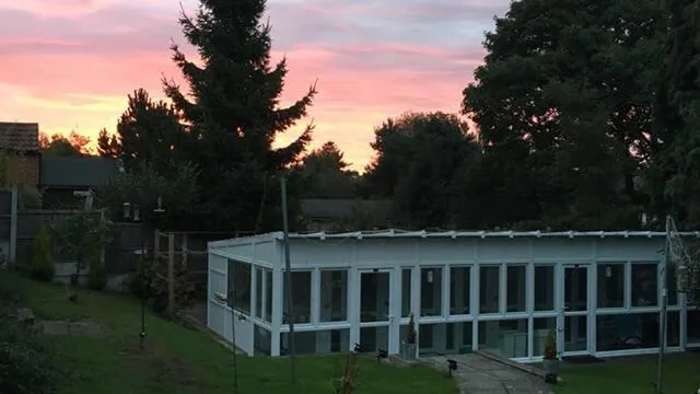 Cats @ Ratcliffe Luxury Cat Hotel - Ilkeston pet otel