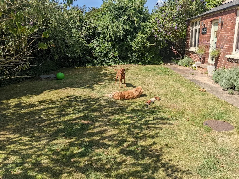 Southfields Dog Boarding - Ilkeston pet otel
