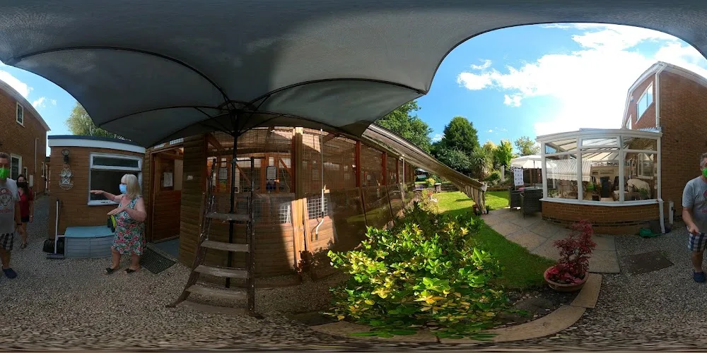 The Scatching Post Cattery - Ilkeston pet otel görseli 4