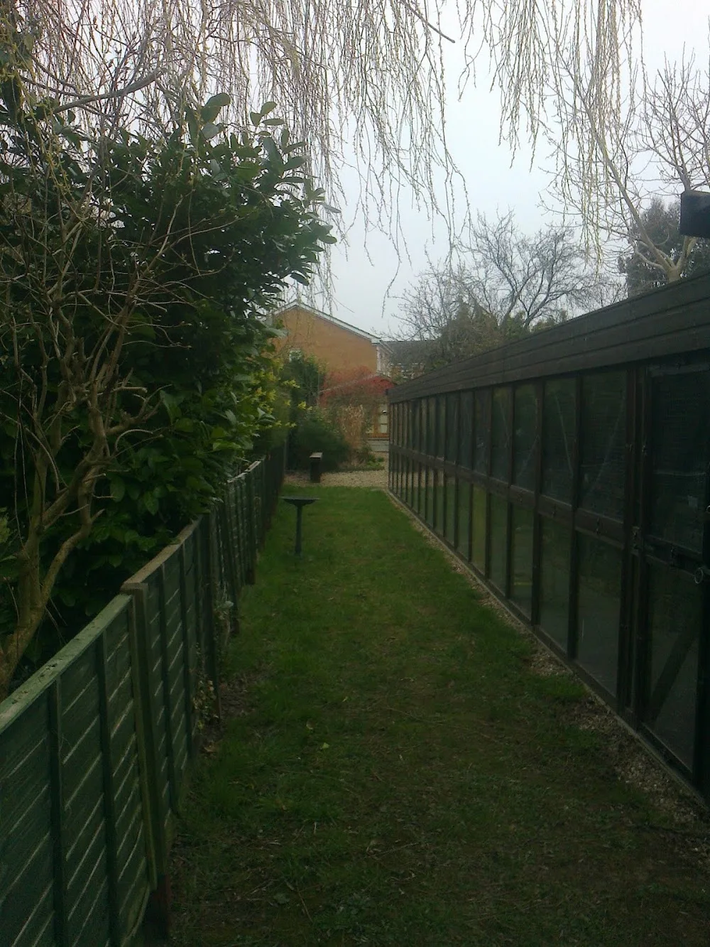 Toton Cattery - Ilkeston pet otel görseli 3