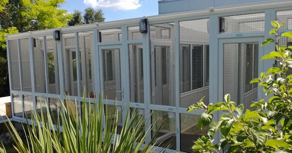 Whitehouse Cattery - Ilkeston pet otel