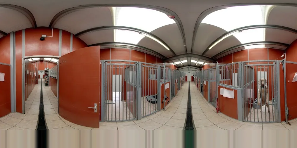 The Rhyddings Kennels & Grooming Salon - Ilkley pet otel görseli 4