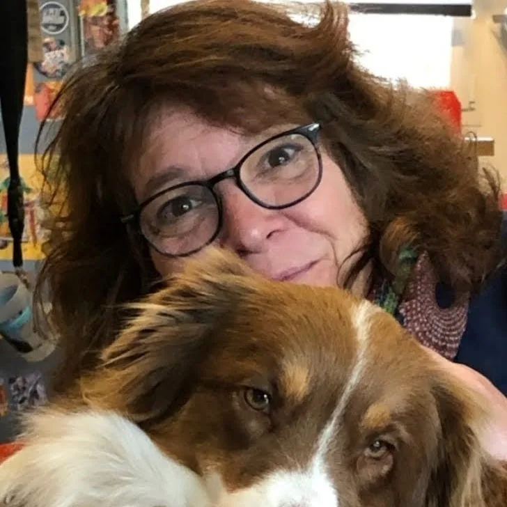Chez lili pension pour chien comme à la maison - Ille-et-Vilaine pet otel görseli 5