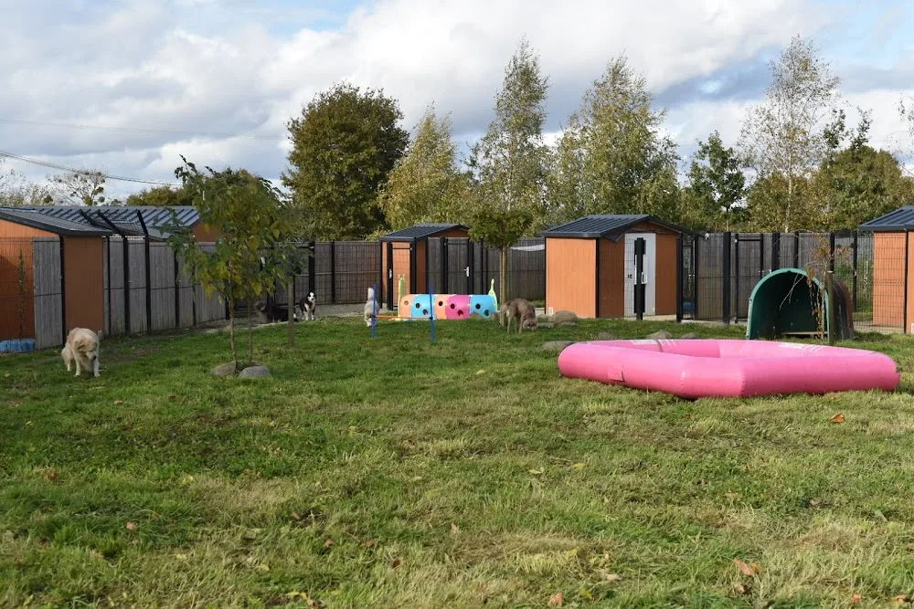 La Colo de Maestro - pension canine - Ille-et-Vilaine pet otel görseli 2