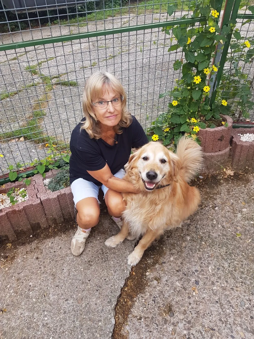 Hundepension Busch - Illingen pet otel görseli 3