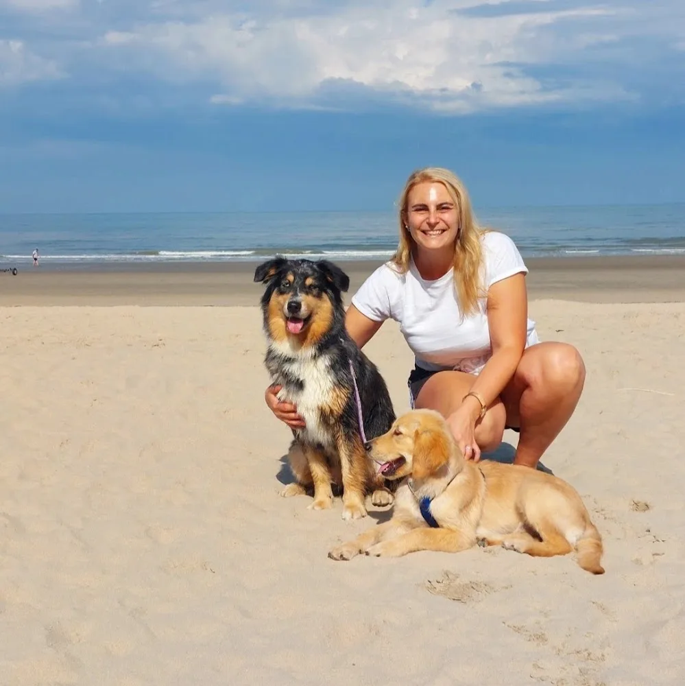 Hundepension und Hundetagesstätte FRIDOLIN - Adrienne Krämer - Illingen pet otel görseli 4