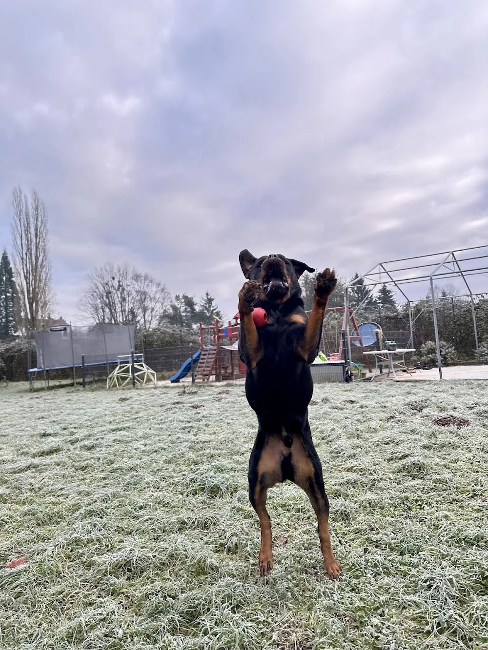 Hundepension Wahl - Illingen pet otel